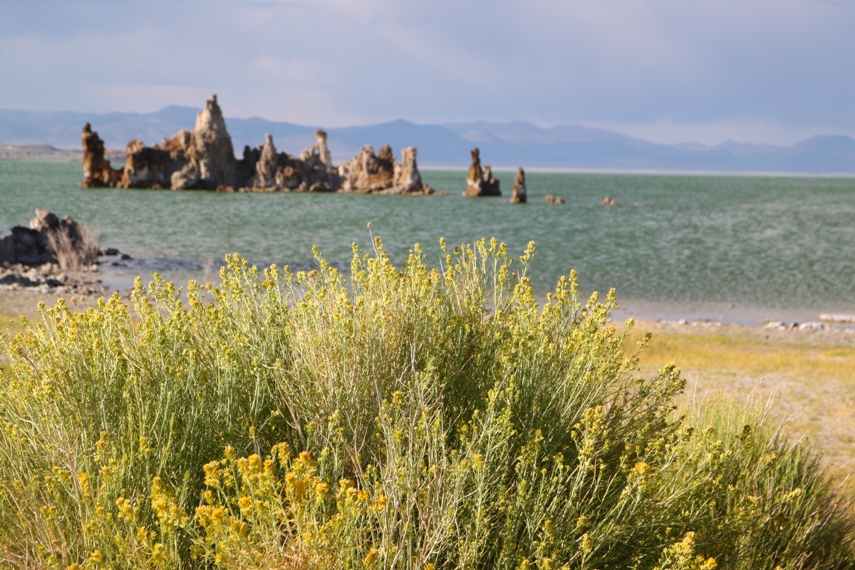 Mono Lake